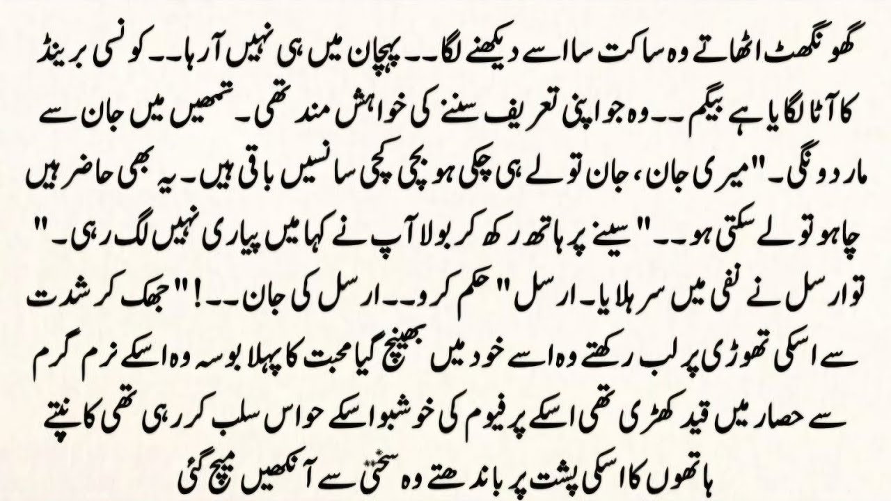 Urdu Novel