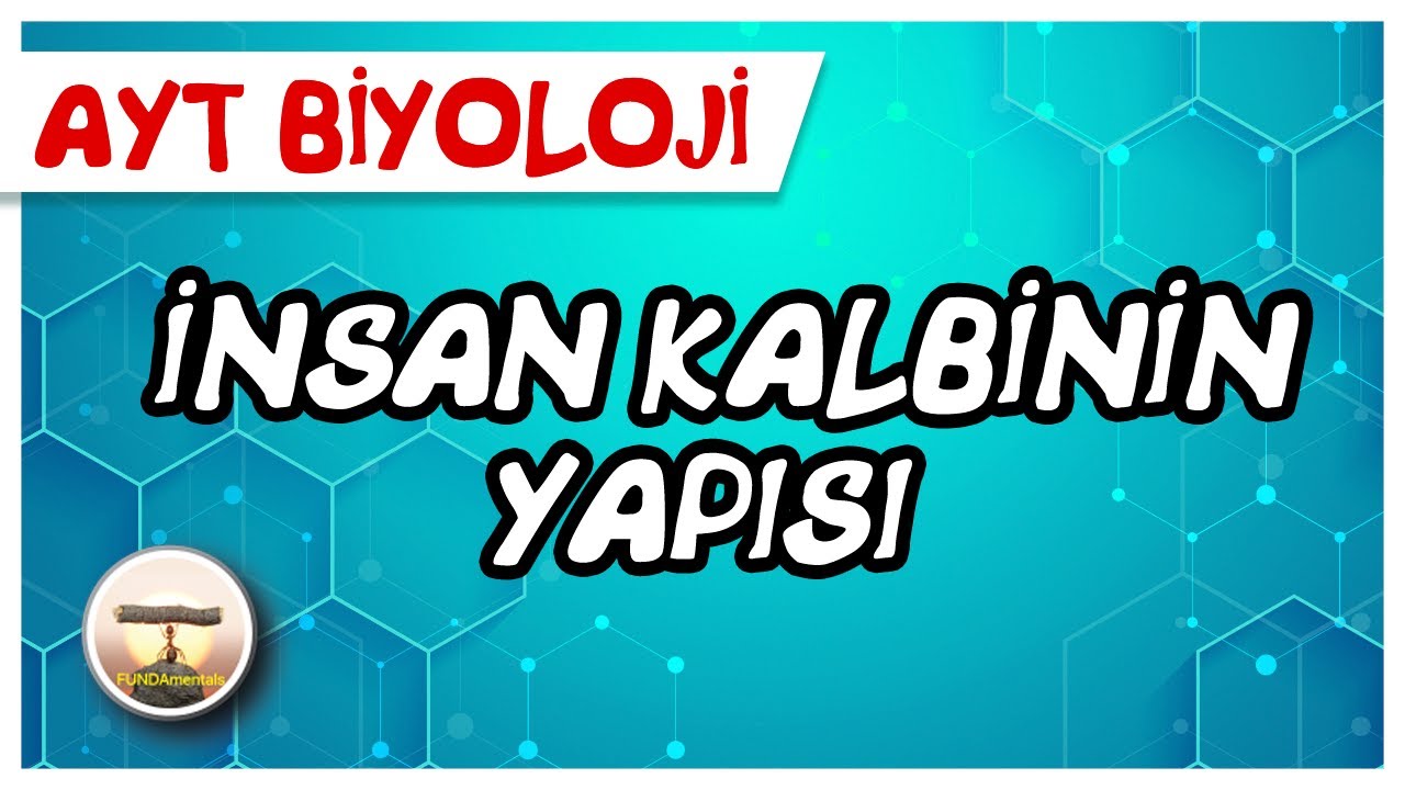 AYT Biyoloji | İnsan Kalbinin Yapısı #sayfa76