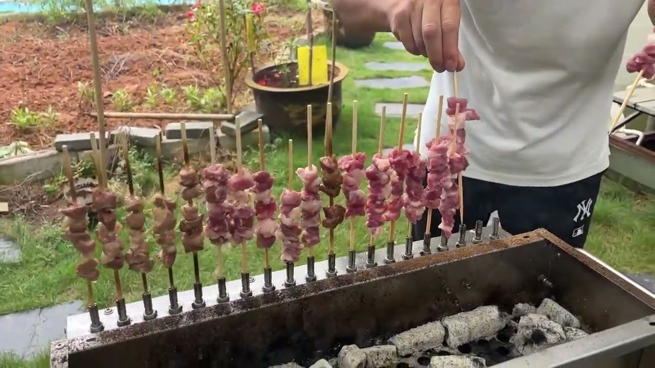 20 bamboo skewer Spit Roaster  automatic rotation charcoal barbecue Arrosticini grill