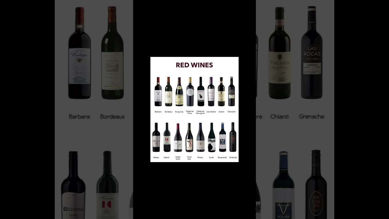 Types of Red Wines 🍷 Merlot, Cabernet, Pinot Noir & More | 