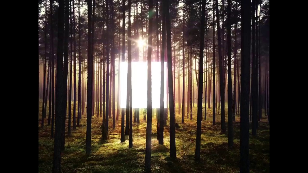 Busted - Out of the Box (Part 1)