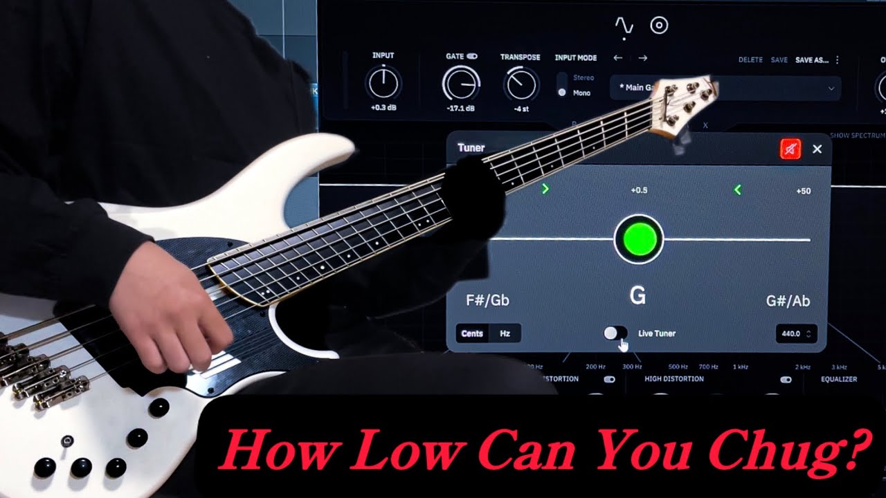 Djent Low sound DINGWALL