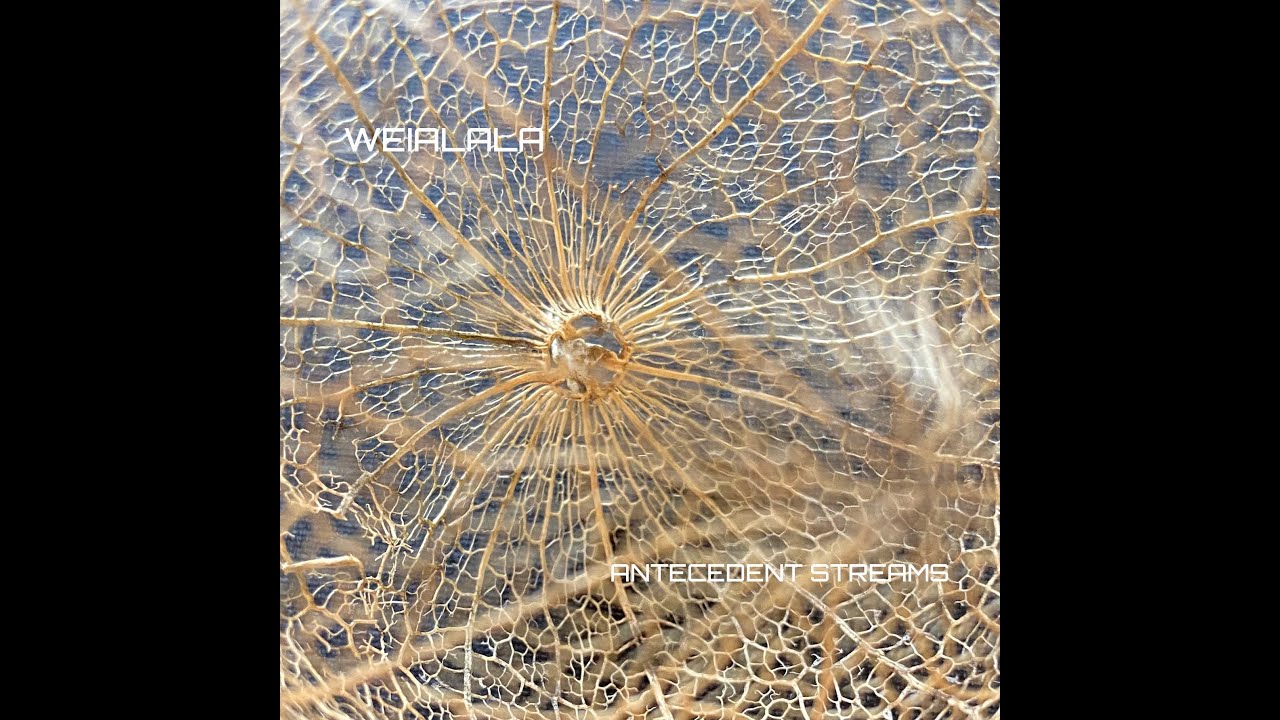 Weialala - Antecedent Streams (Full Album)