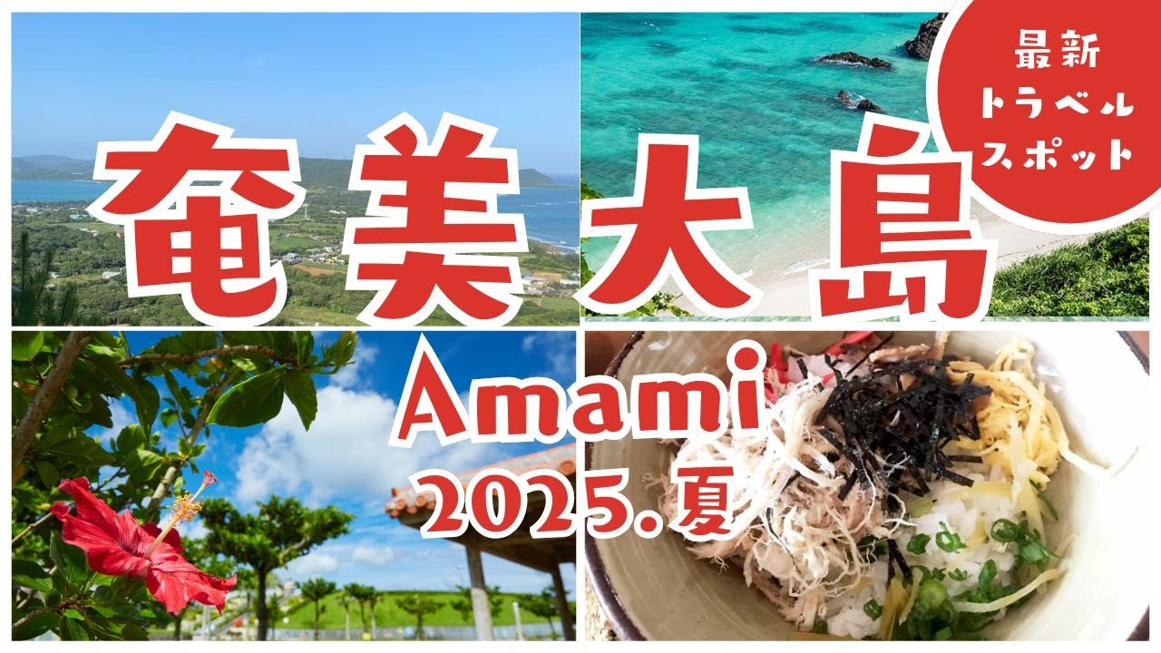 【2025夏】奄美大島へ行ってきた！
