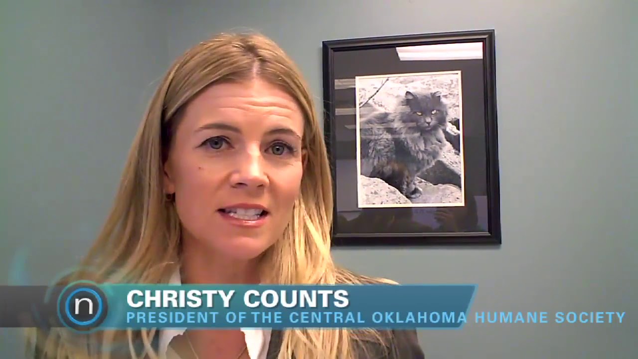PetSmart awards charities to three Oklahoma City organizations (2011-10-25)