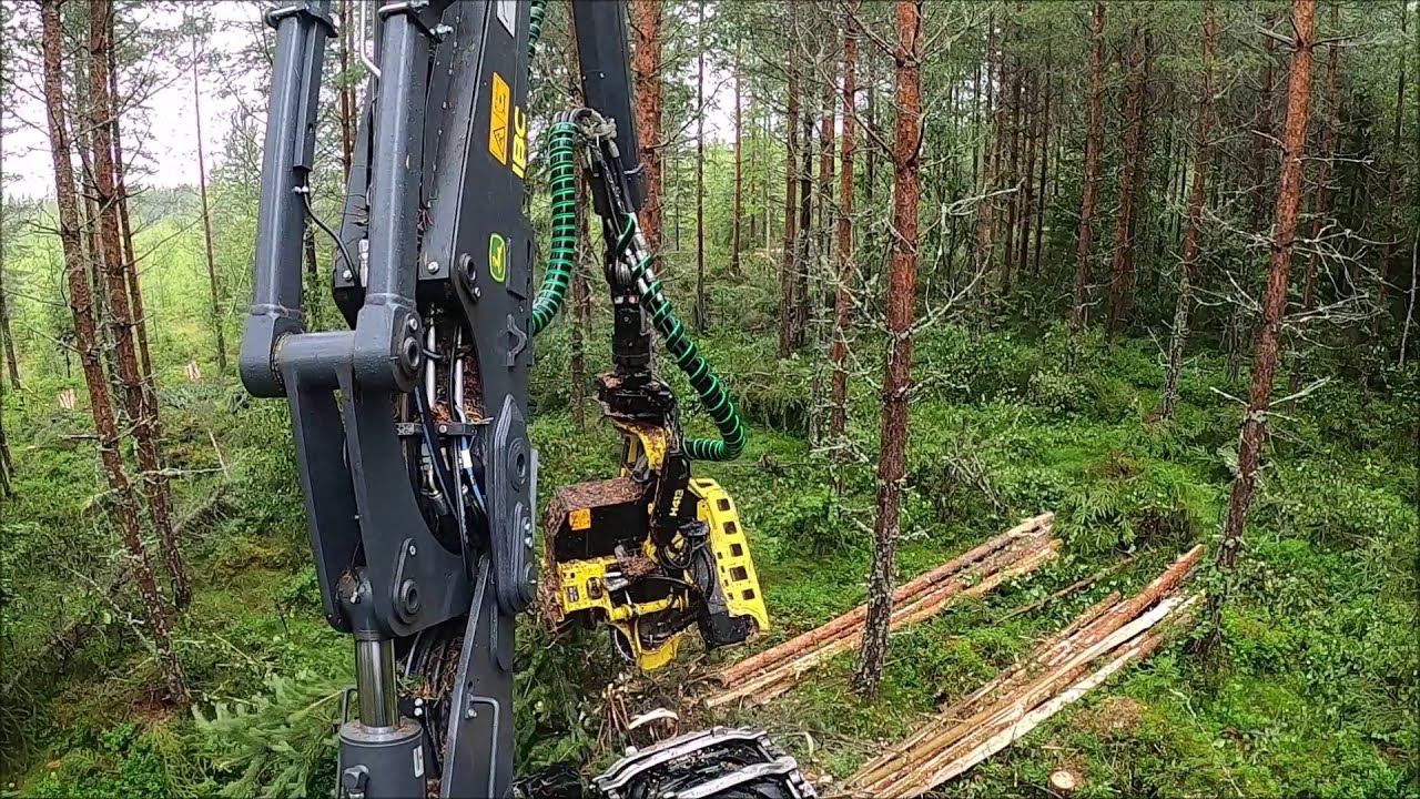 John Deere 1170g (IBC) thinning