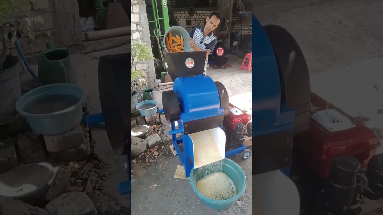 Trial giling jagung glondong.mesin giling kompos,pencacah rumput & pembubur organik