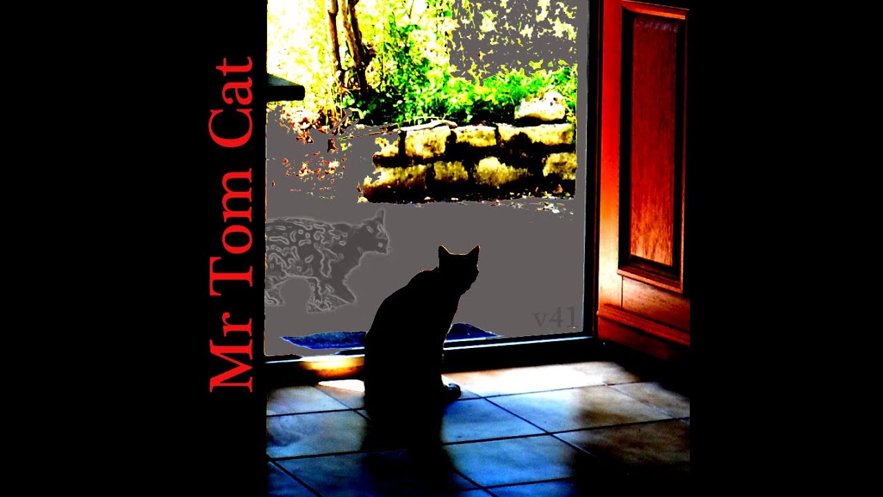 Mr TomCat - Crox