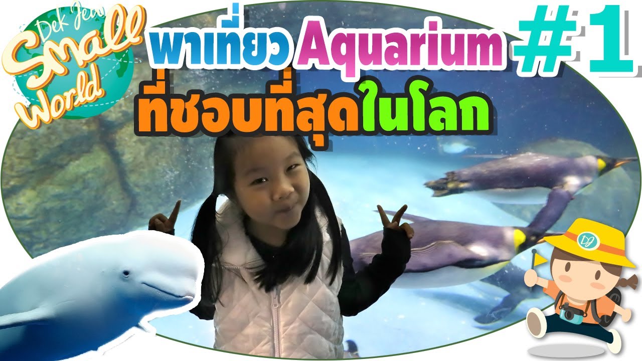 เด็กจิ๋วพาเที่ยว Aquarium ที่ชอบที่สุดในโลก (Yokohama Sea Paradise#1)
