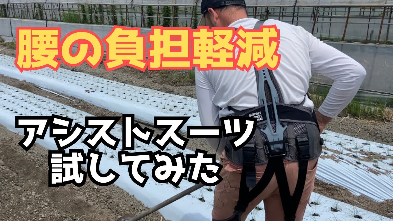 【アシストスーツ】使用レポート「農業は楽になるのか？！」