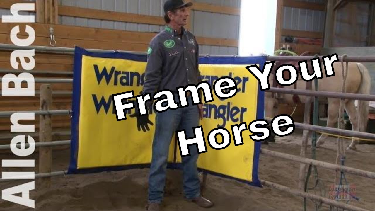 Think About Framing Your Horse - Allen Bach Team Roping Tips