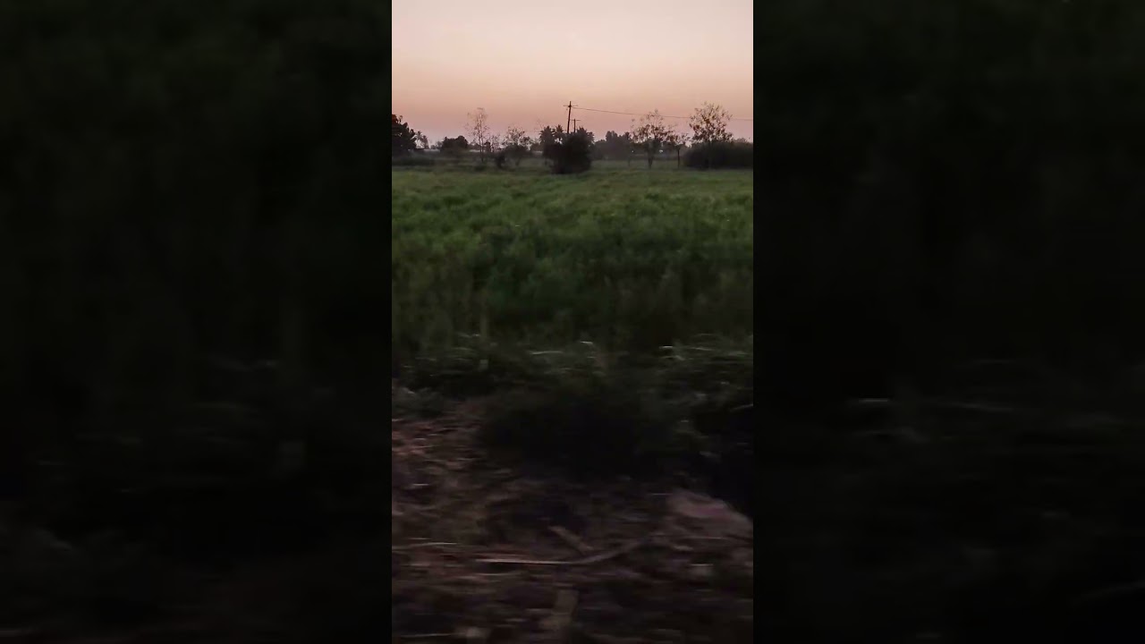 On way 👊💖🍁💫💥💫🌟⭐✨