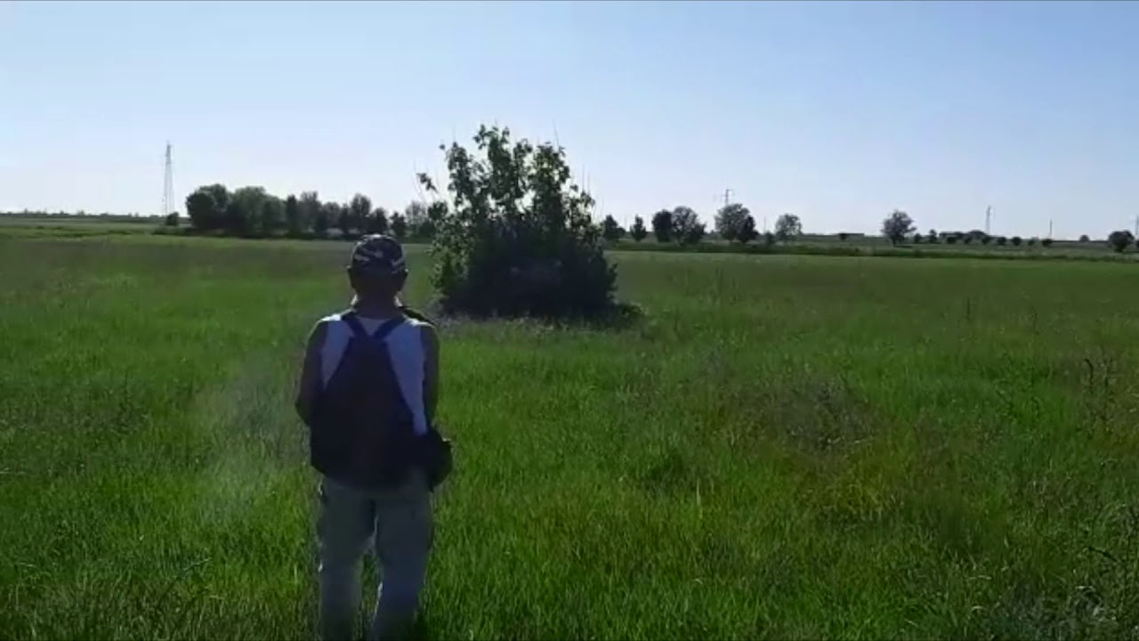 Aiace del Subasio Hunting