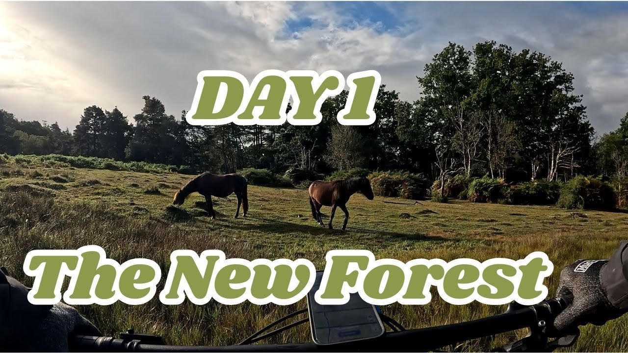 Day 1 The New forest (A campervan adventure)
