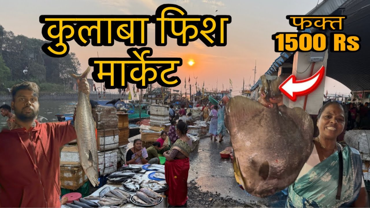 कुलाबा फिश मार्केट 🐟 ।। COLABA FISH MARKET . #trending #viral #video #explore #fishing #mumbai 