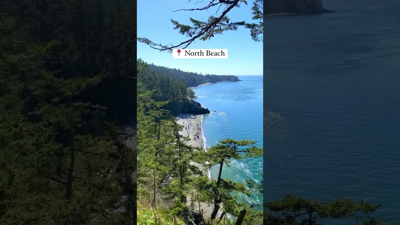 North beach 🏝️ in Washington state is unbelievably stunning! 🌊