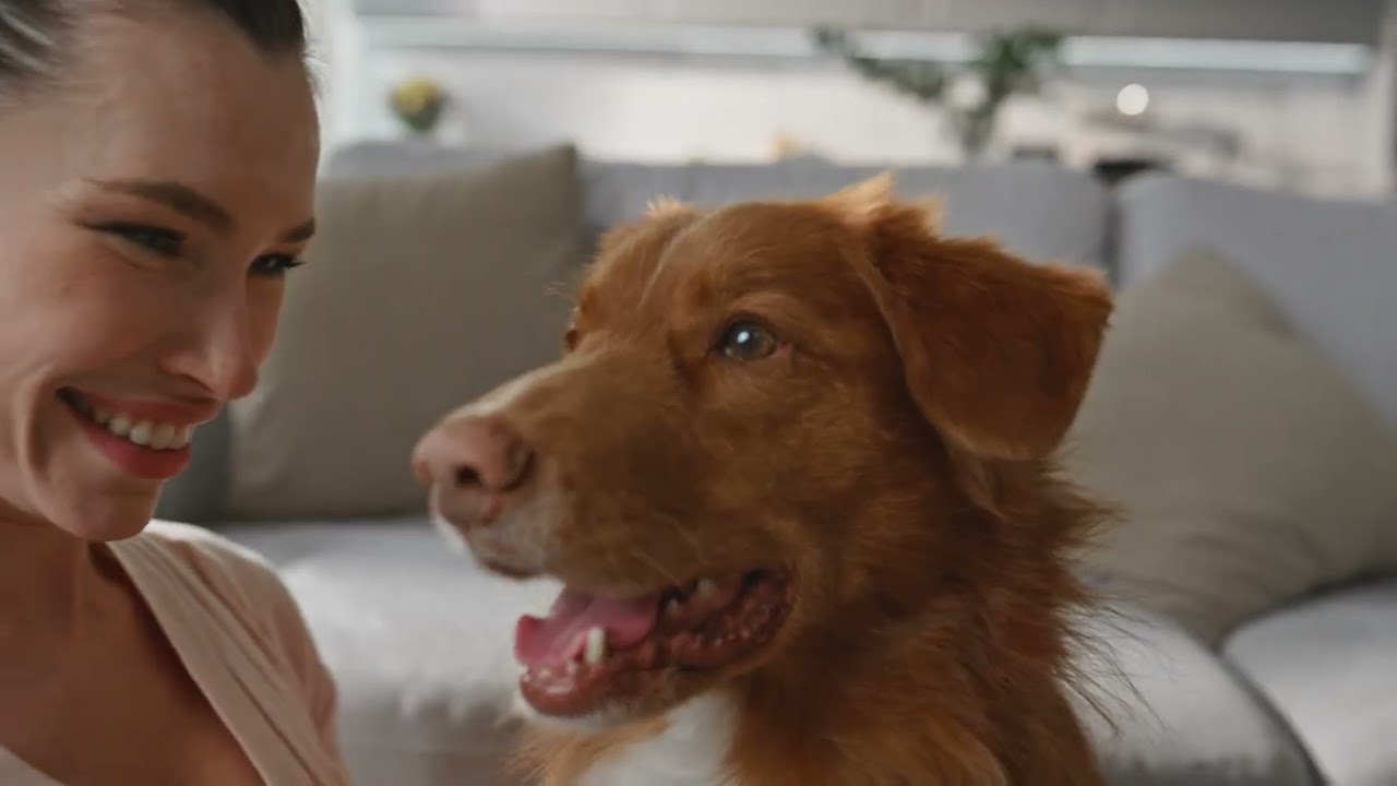 9 Signs Your Dog Is Lonely - And Has Separation Anxiety.