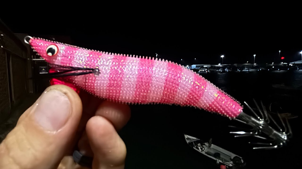 CATCH MORE SQUID  | ITS TIME TO CATCH SQUID | NEW JIGS - NEW COLOURS - SAME TECHNIQUE | TIPS