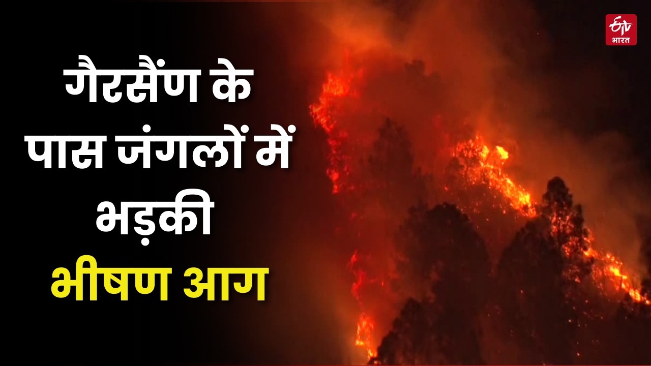 Gairsain सदन में Forest Fire की हो रही बात, भयानक तरीके से जल रहे जंगल, अनदेखा कर रहे अधिकारी