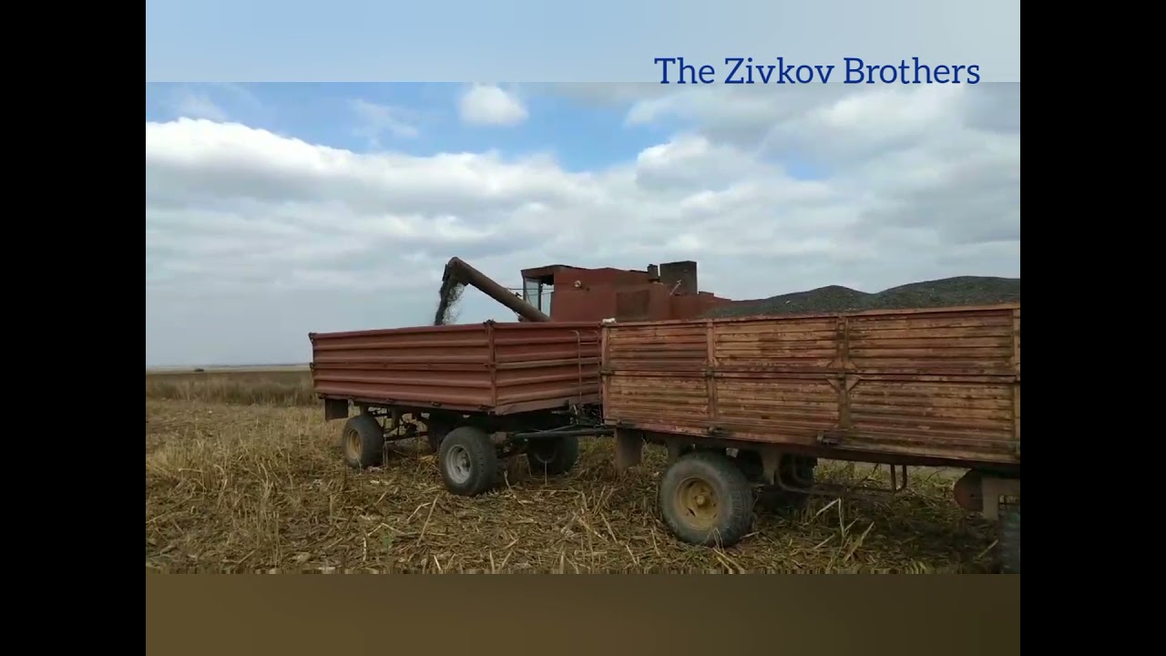Žetva suncokreta 2021, ZMAJ 161 RM & BELARUS 892