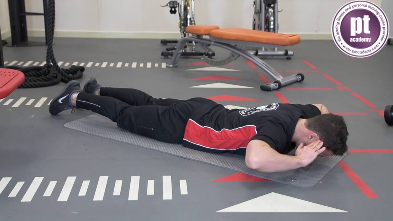 Back Extension - Fitness Instructing: Pt Academy