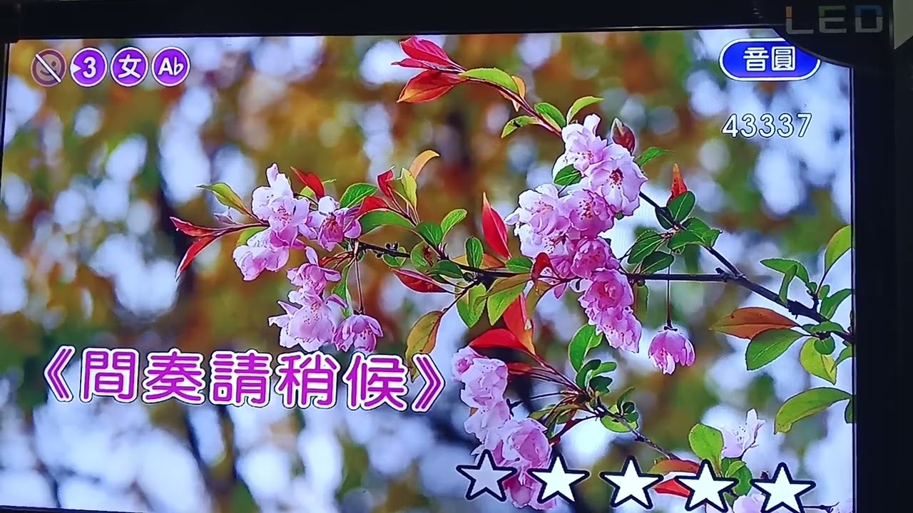 浪花節だよ人生は練習版