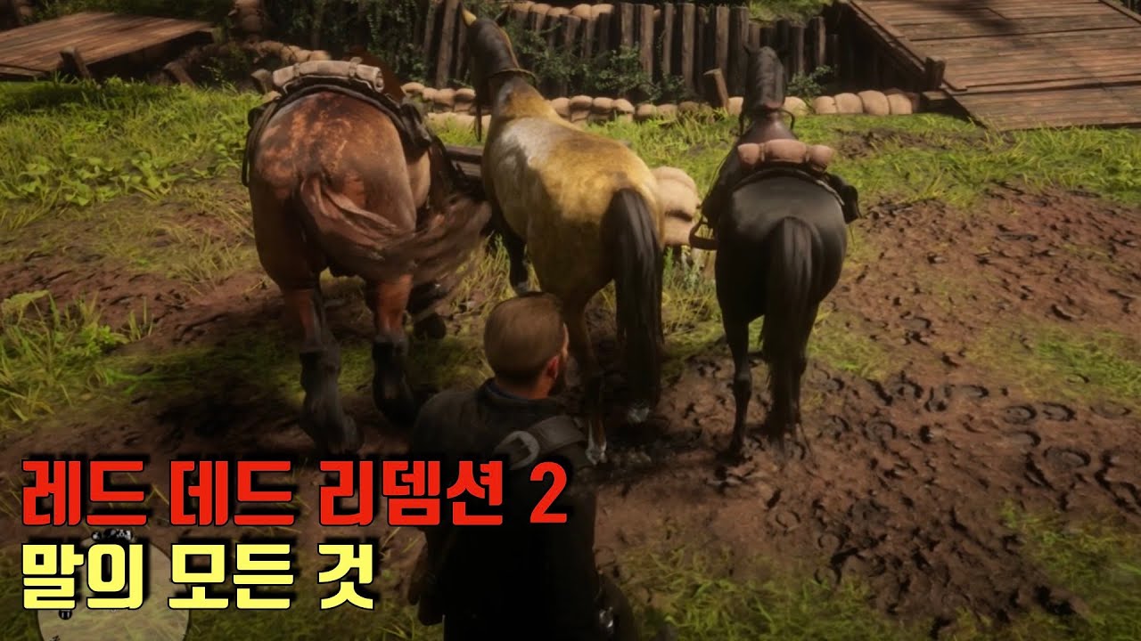 [레데리2] 말의 모든 것