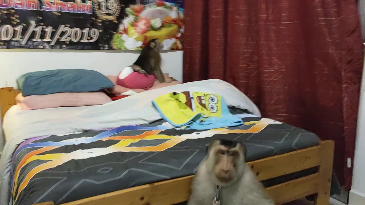 Jk Kick The Door and smach my Camera