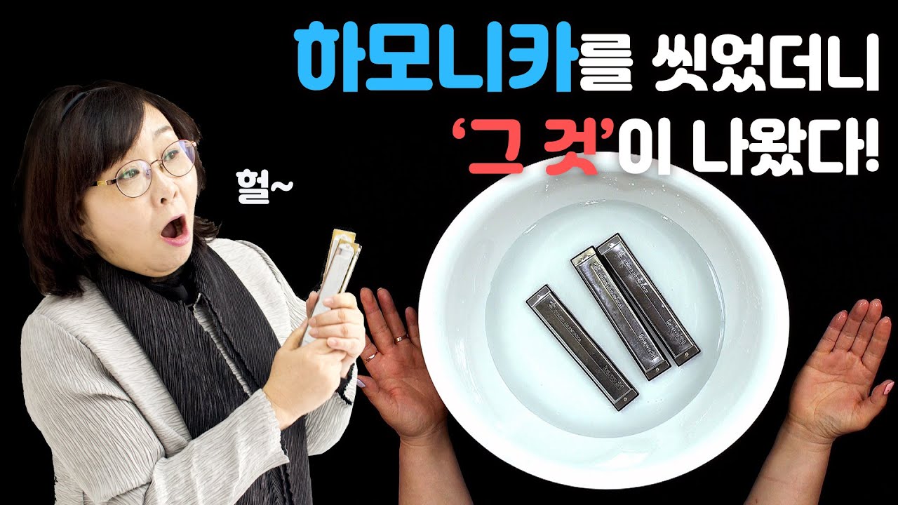 [도약닷컴] 하모니카 배우기: 하모니카 세척&관리 방법 / Cleaning tips for Harmonica