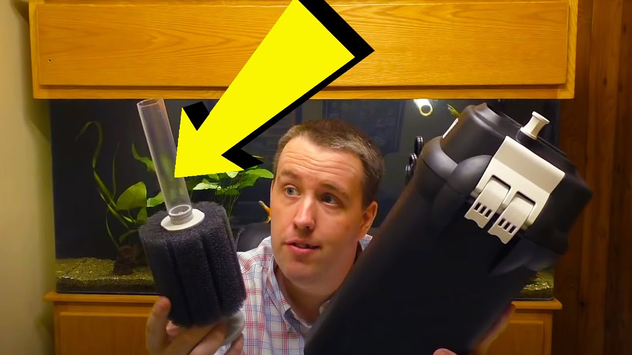 Freshwater Aquarium Filtration Systems Setup Advice - My take Aquarium Filtration setup