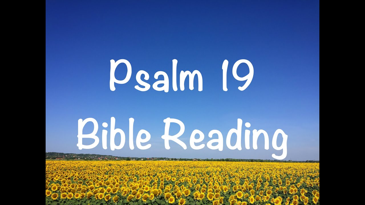 Psalm 19 - NIV Version (Bible Reading with Scripture/Words)
