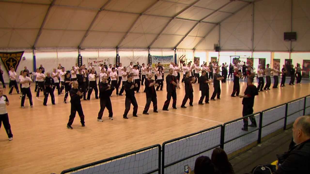 EMAS Stage Nazionale novembre 2013 - Wing Tsung