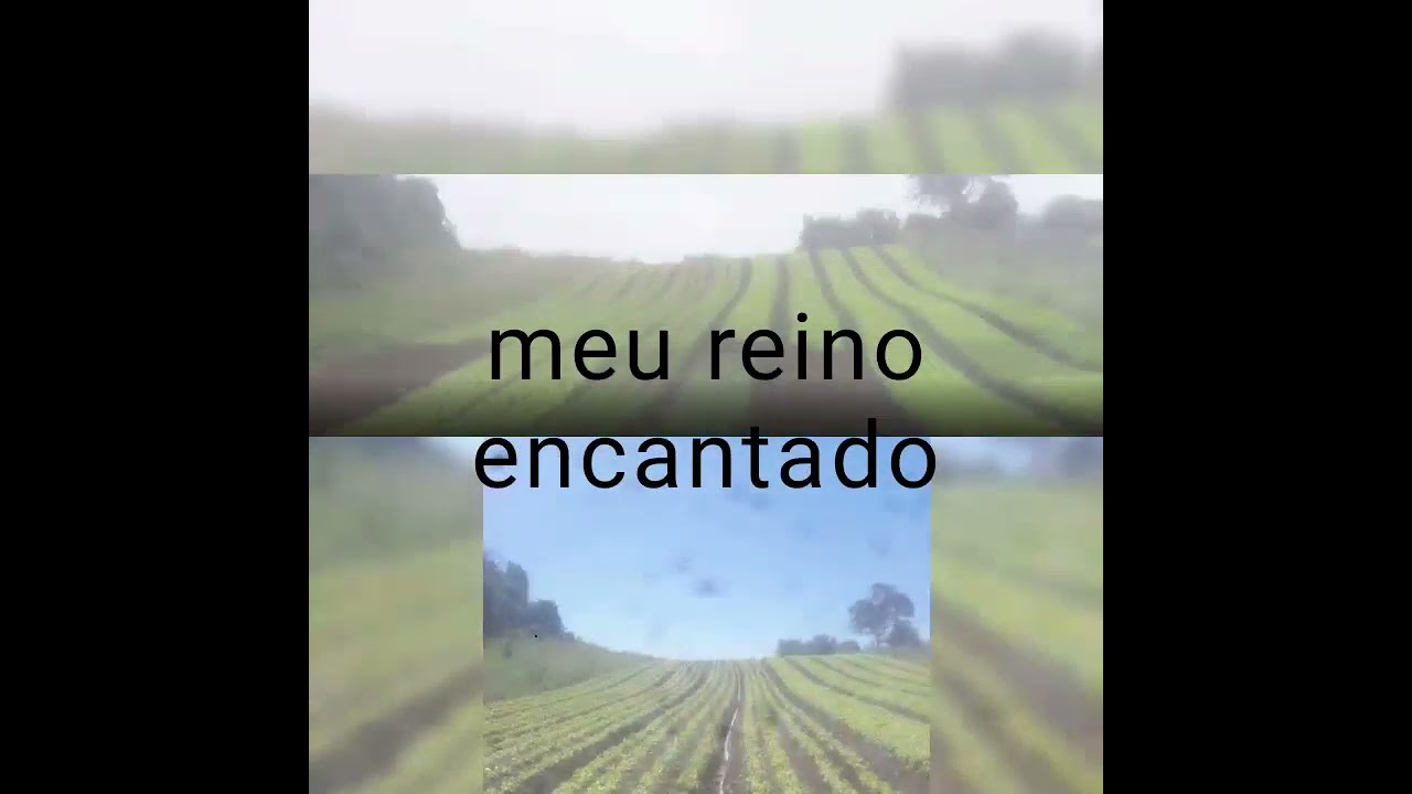 vida real na ro&ccedil;a