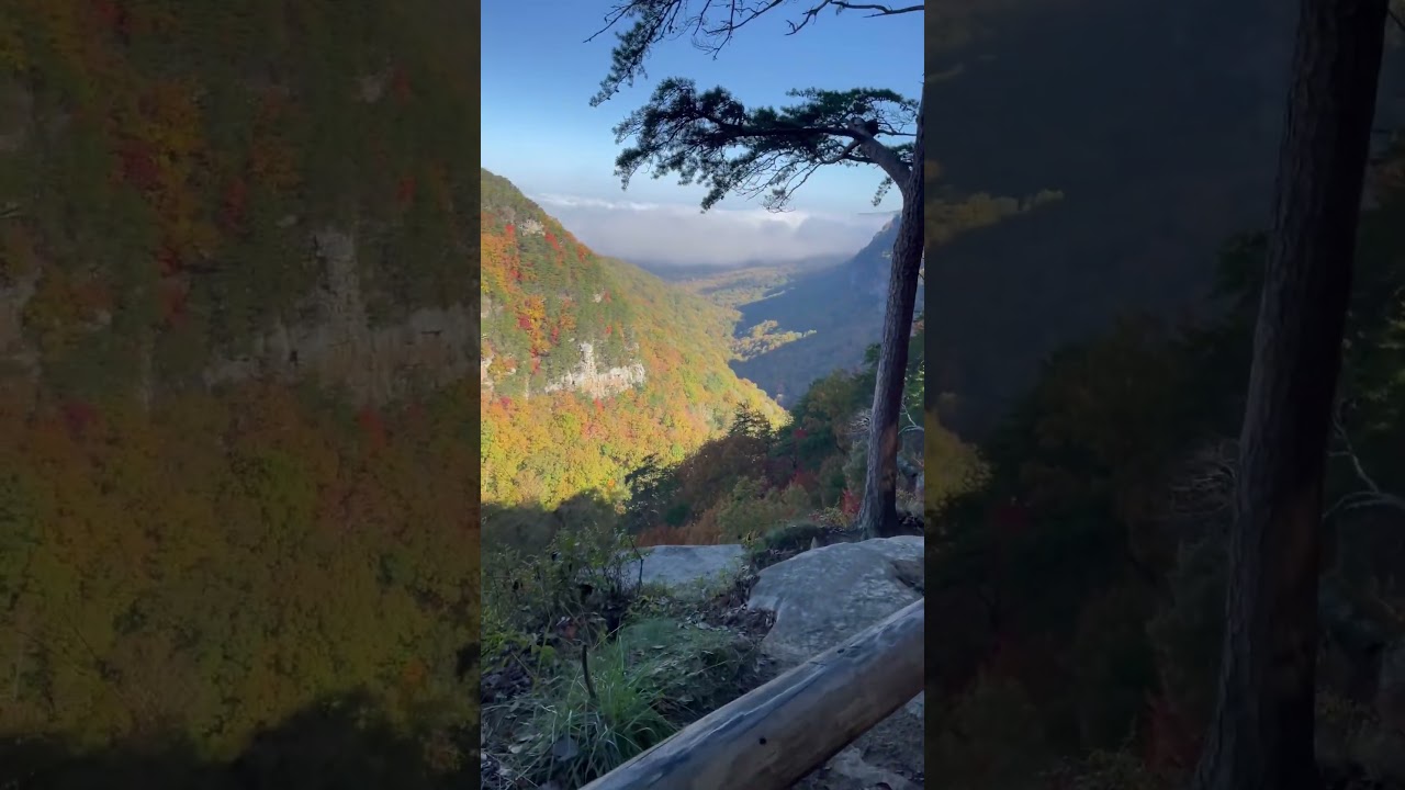 Cloudland Canyon, GA in the fall is a sight to behold 