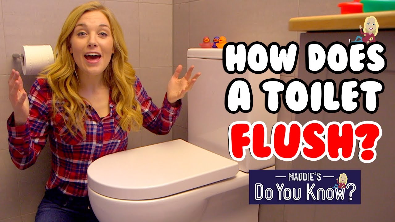 How does a Toilet Flush? 🚽 Maddie's Do You Know? 👩