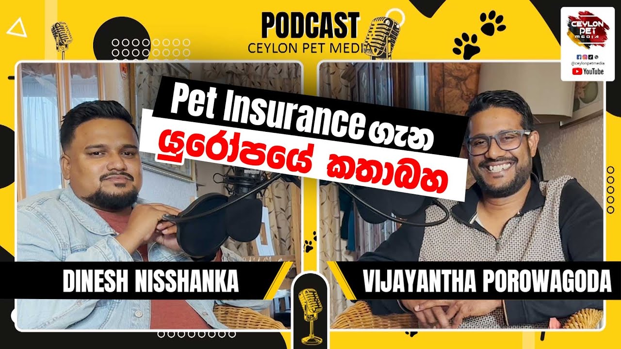 Pet Insurance ගැන යුරෝපයේ කතාබහ | Podcast