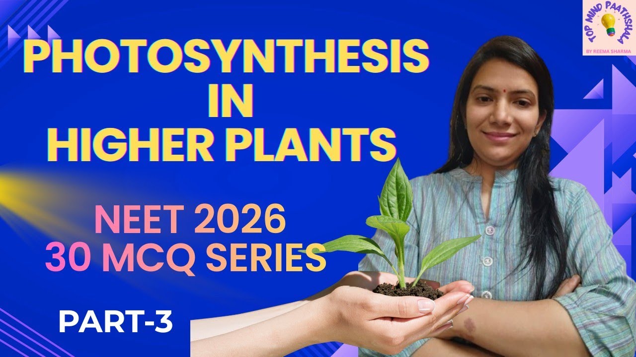 Photosynthesis In Higher Plants NEET 30 MCQ Biology NCERT SERIES PART 3 Class 11