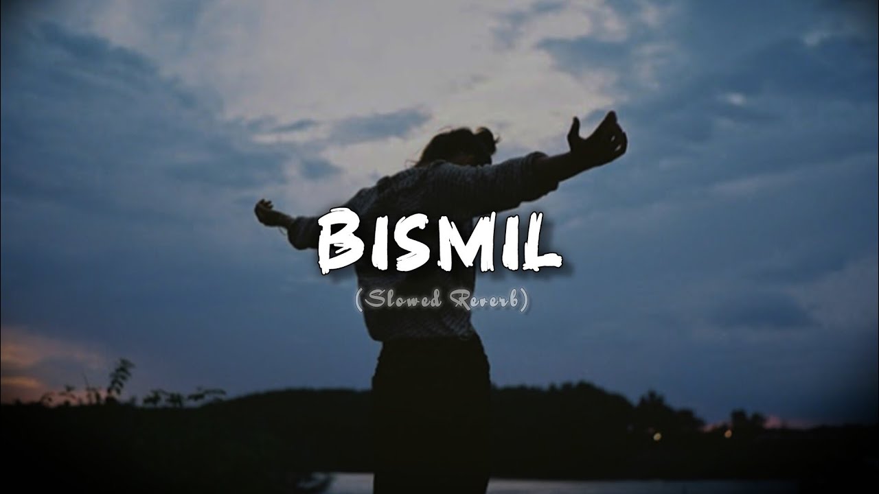 Bismil (Slowed+Reverb) | Sukhwinder Singh | Haider | Selenophile