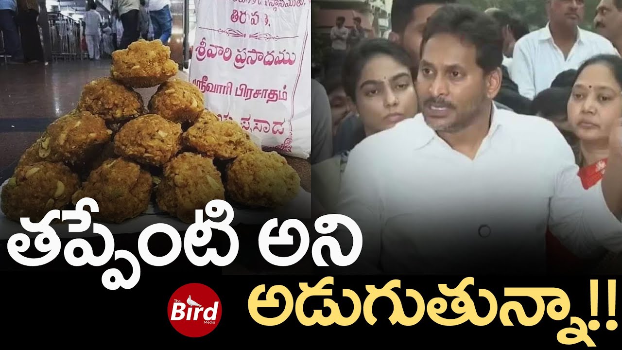 తప్పేంటి అని అడుగుతున్నా! | YS Jagan Questioning To CM Chandrababu On YCP Leaders Scams | Bird Media