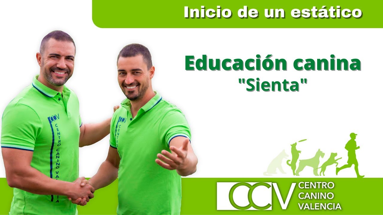 Como conseguir que el perro se mantenga sentado / Curso de educación canina online
