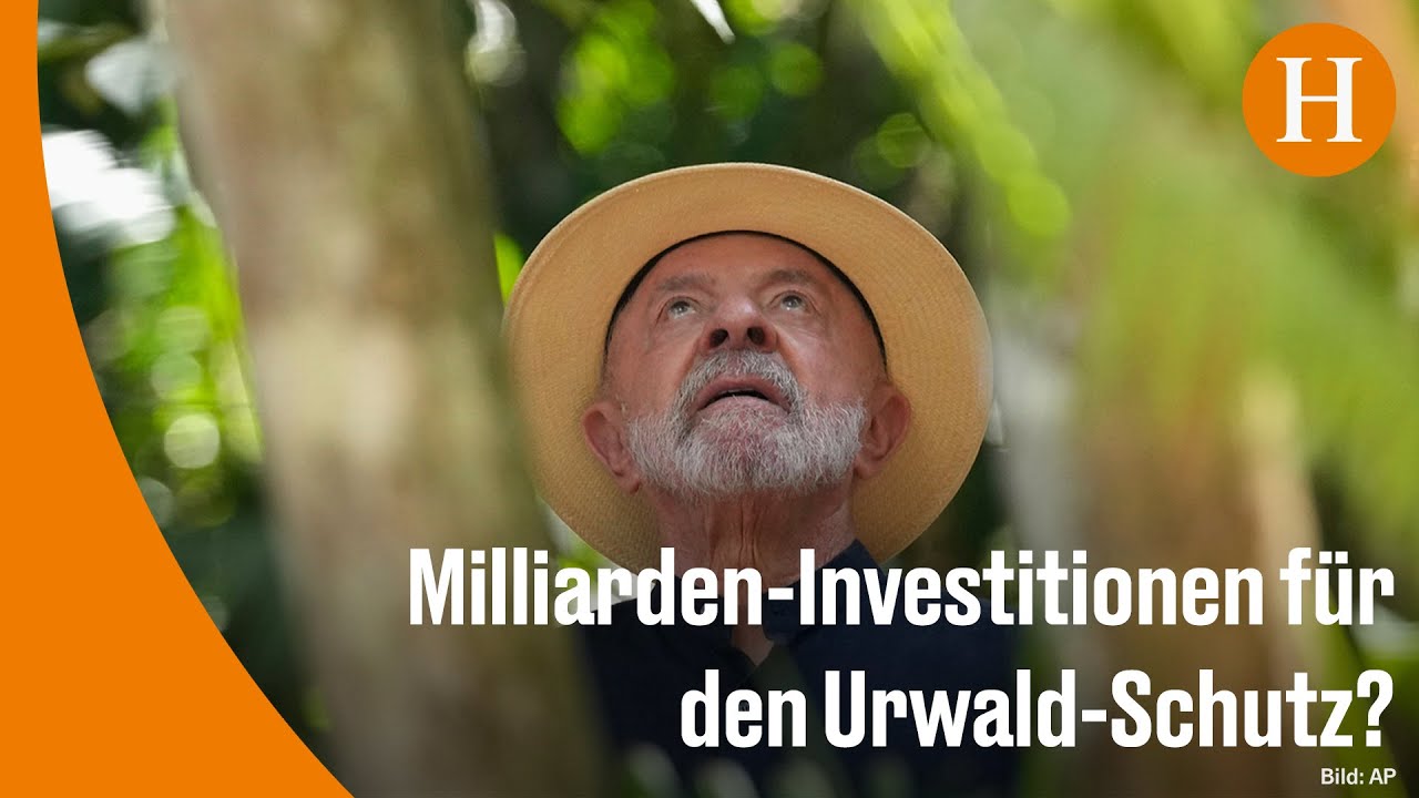 Klimagipfel in Brasilien: Pr&auml;sident Lula stellt Waldschutz-Fonds vor