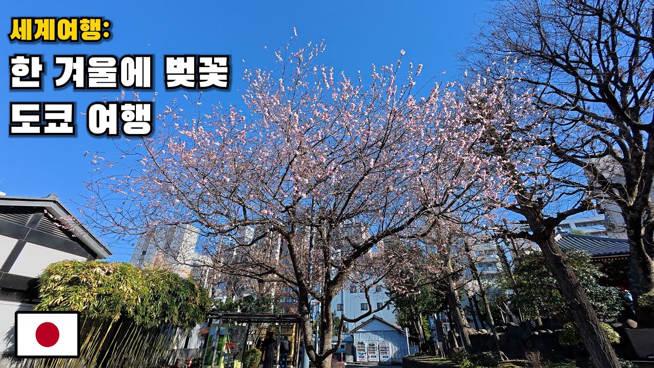 [세계여행] 슬펐던 랜든과의 일본 마지막 여행 [일본 (12)]