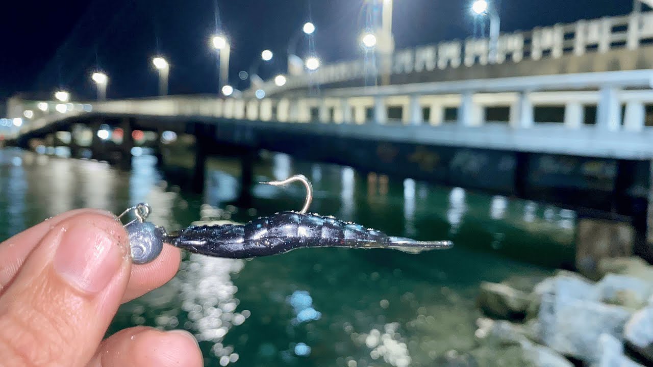 SAI DO TRABALHO E FUI DIRETO PESCAR NO PÉ DA PONTE E NUNCA VI TANTO PEIXE