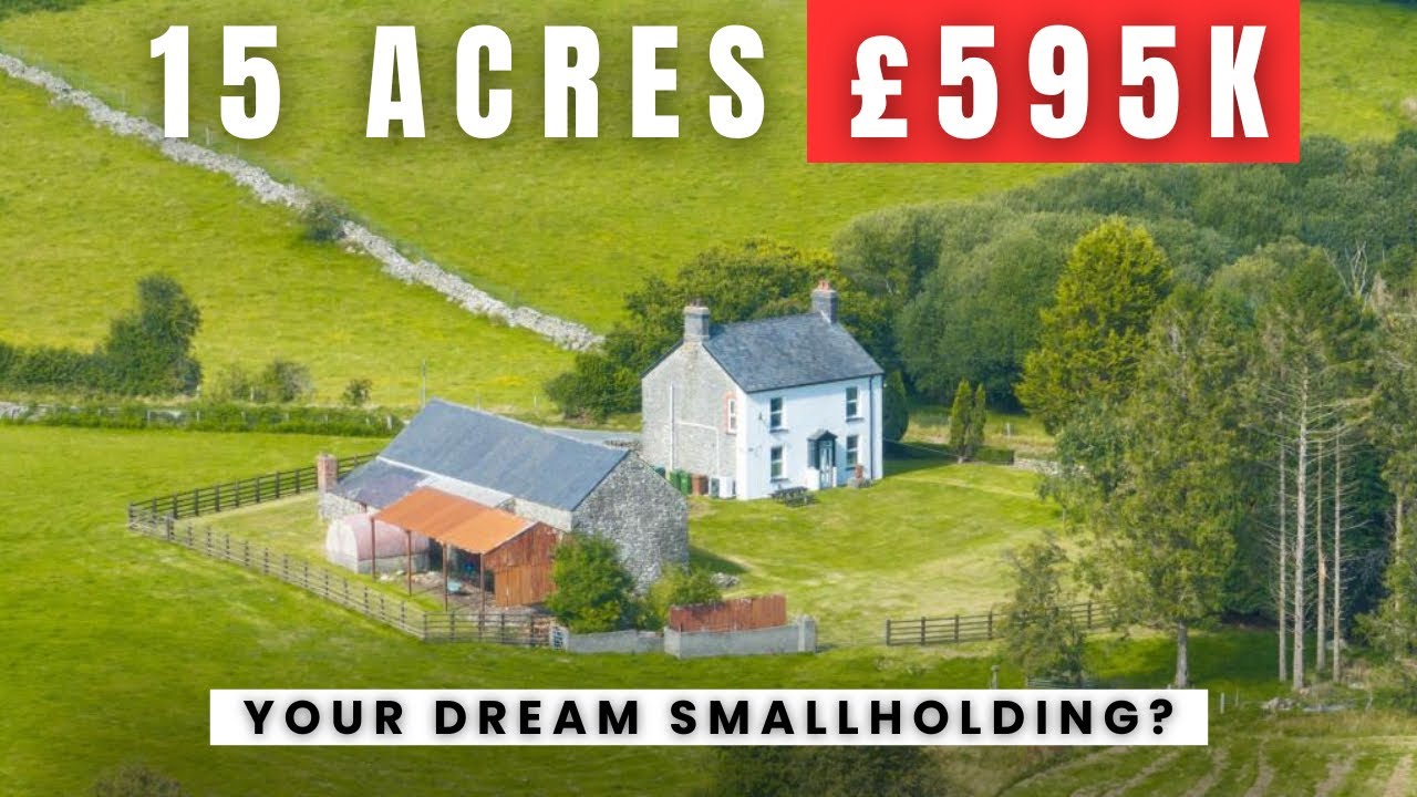 What £595K Buys You in West Wales | 15 Acre Smallholding Property Tour