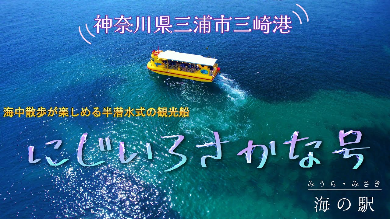 【三浦半島】にじいろさかな号　　神奈川県三浦市　三崎港