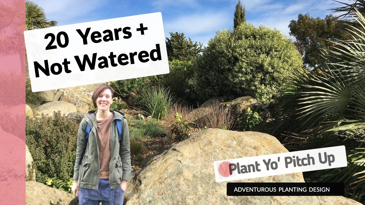 This UK Garden Has NOT Been Watered for 20+ Years - Here's How      (The Dry  Garden, RHS Hyde Hall)