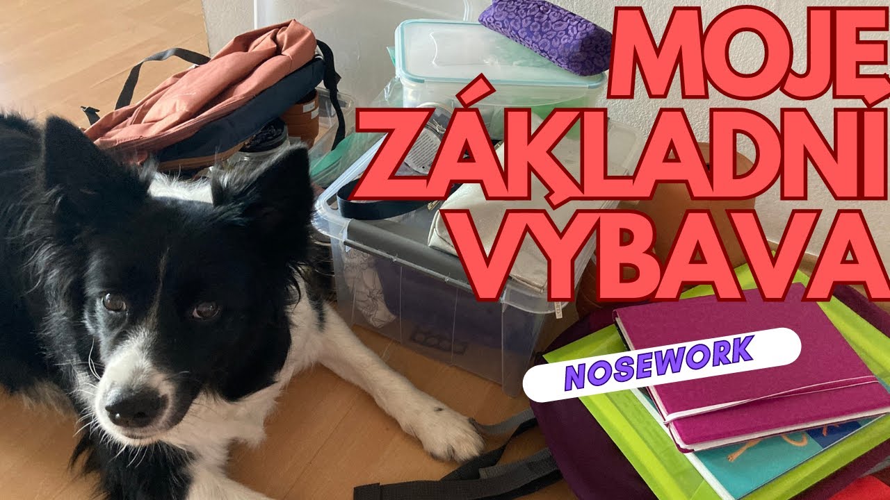 Ze života trenérky psů: Pomůcky na psí trénink noseworku + pozvánka