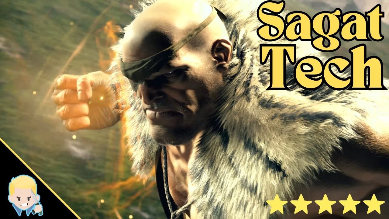 Установки Sagat Overhead (SF6)