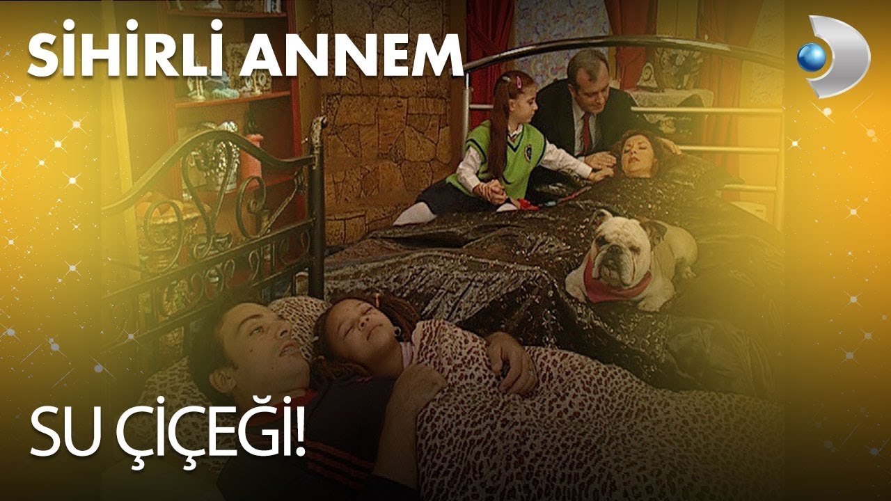 Su Çiçeği! - Sihirli Annem 77. Bölüm