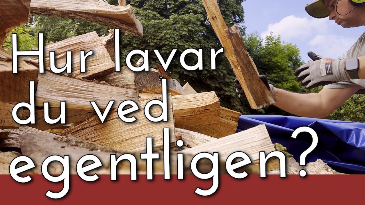 Solcell i skuggan, ved och hackade &auml;gg